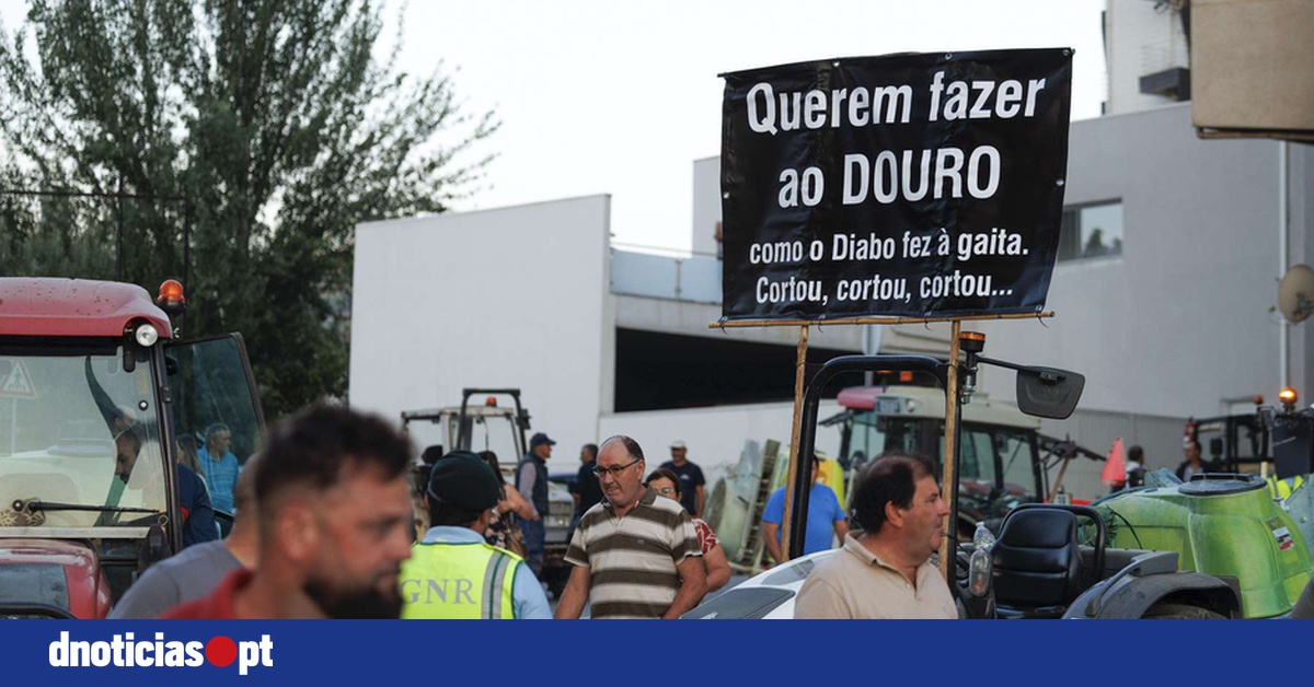 DNOTICIAS.PT