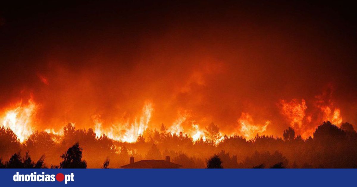 DNOTICIAS.PT