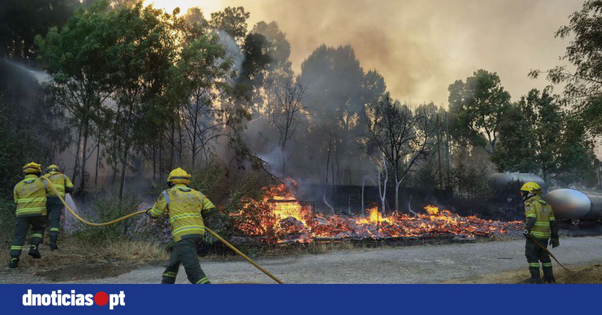 DNOTICIAS.PT