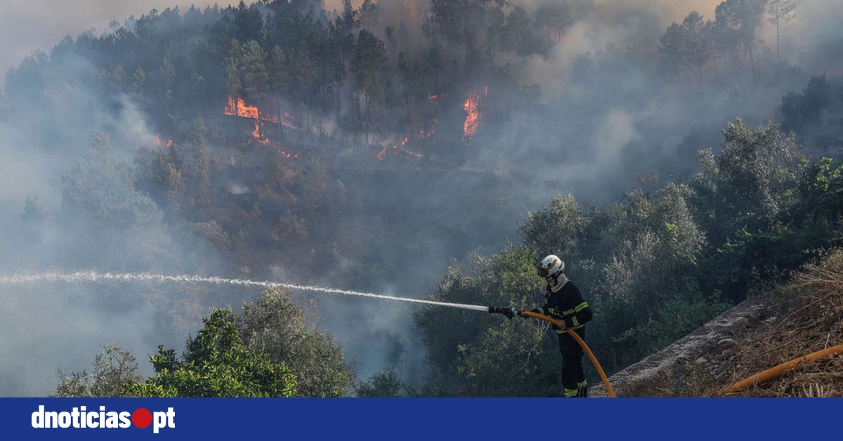 Portugal Battles 59 New Wildfires: 5 Major Blazes Threaten Northern and Central Regions