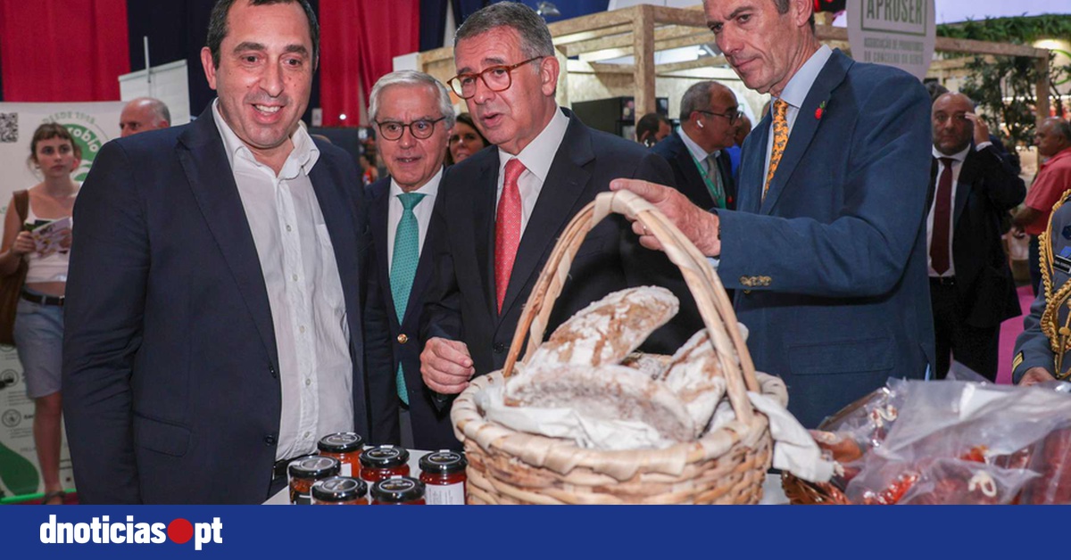 DNOTICIAS.PT