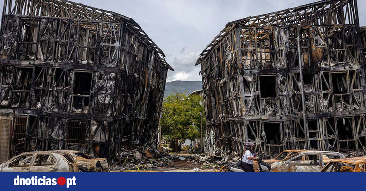 DNOTICIAS.PT