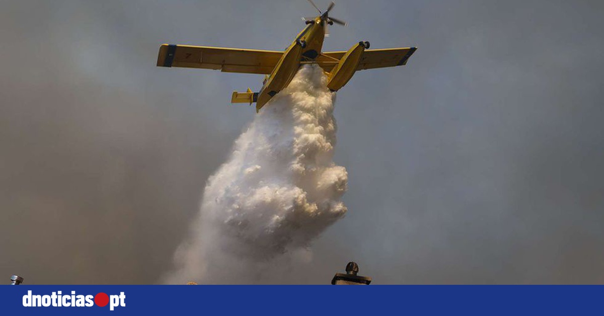DNOTICIAS.PT