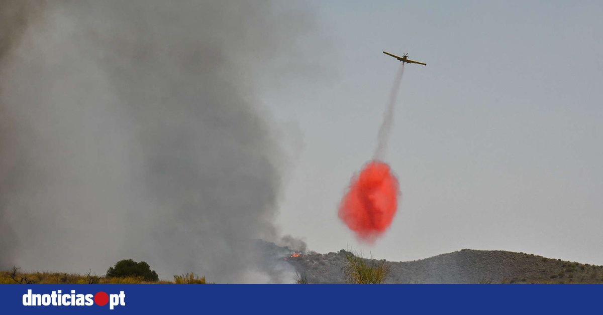 DNOTICIAS.PT