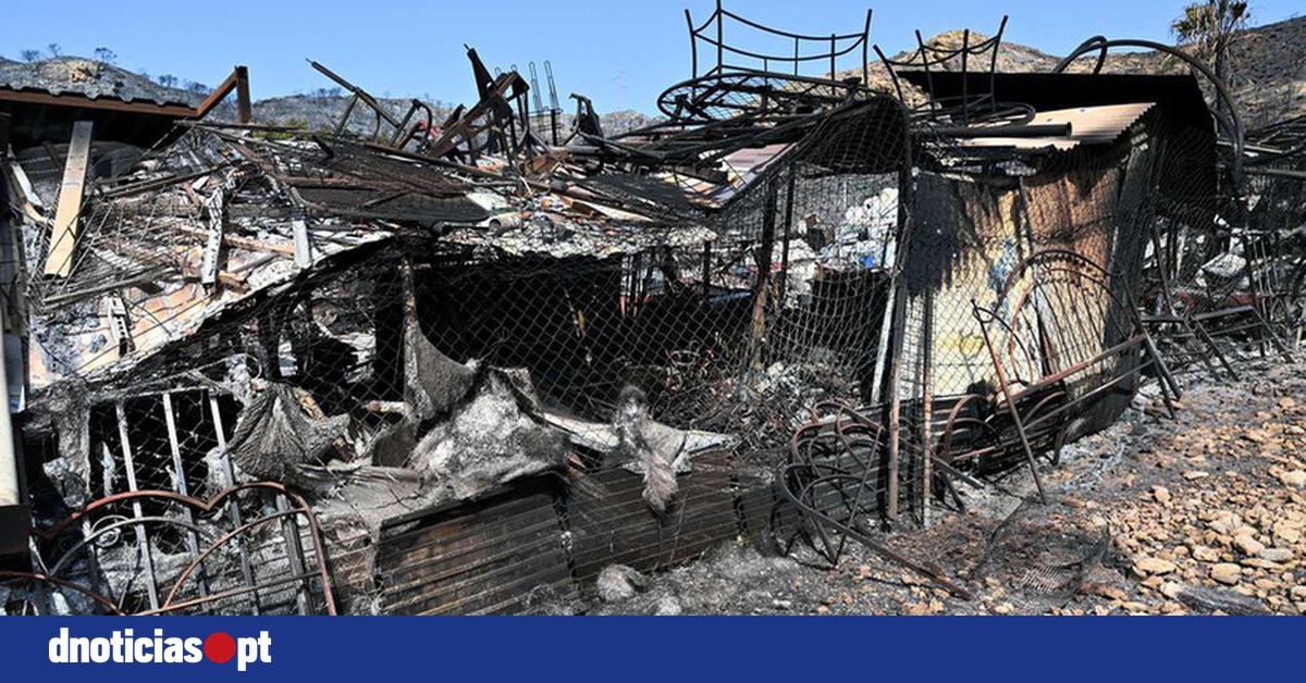 DNOTICIAS.PT