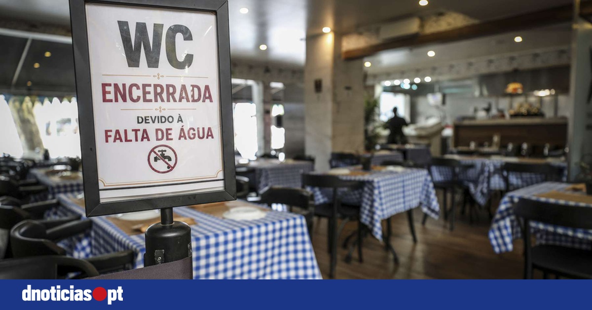 DNOTICIAS.PT