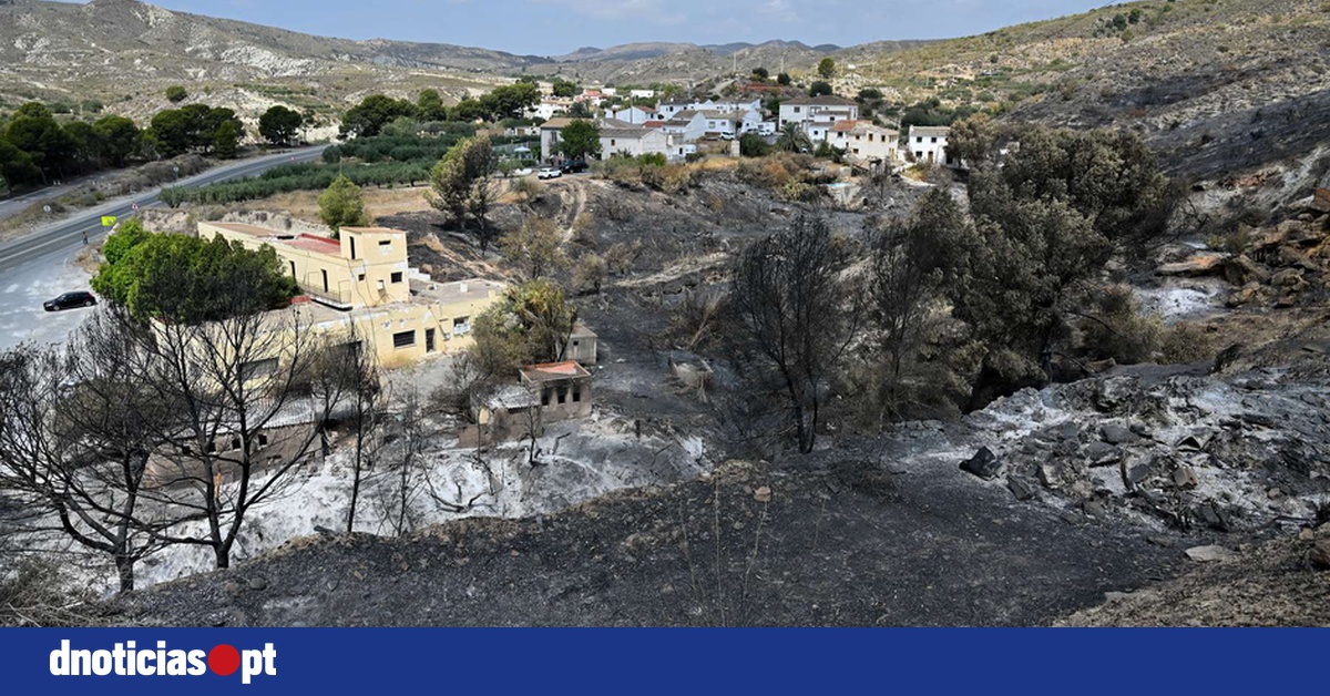 DNOTICIAS.PT