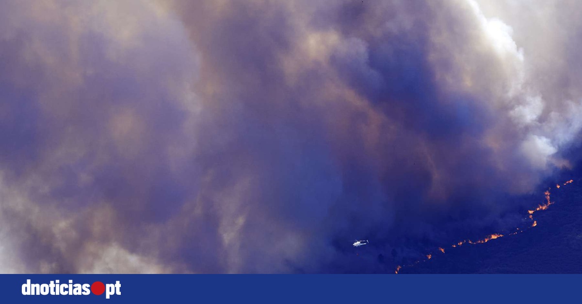 DNOTICIAS.PT