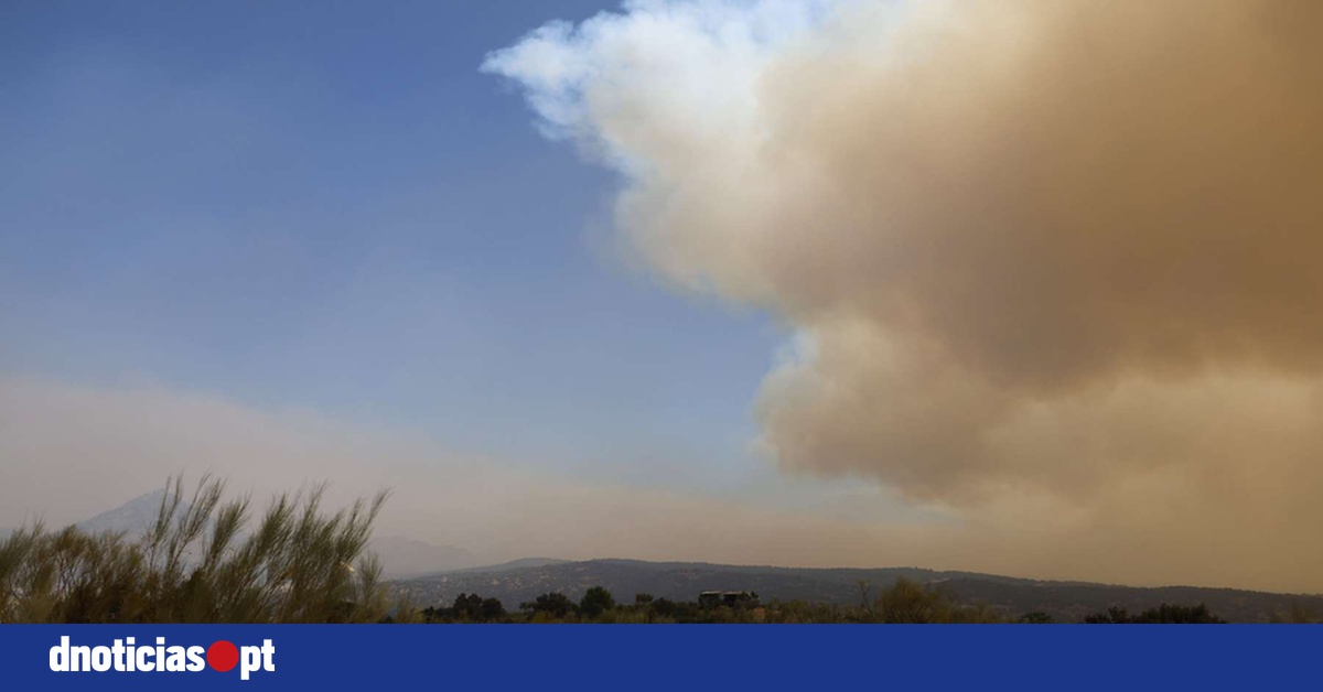 DNOTICIAS.PT