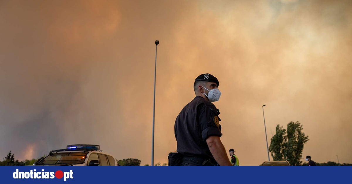 DNOTICIAS.PT