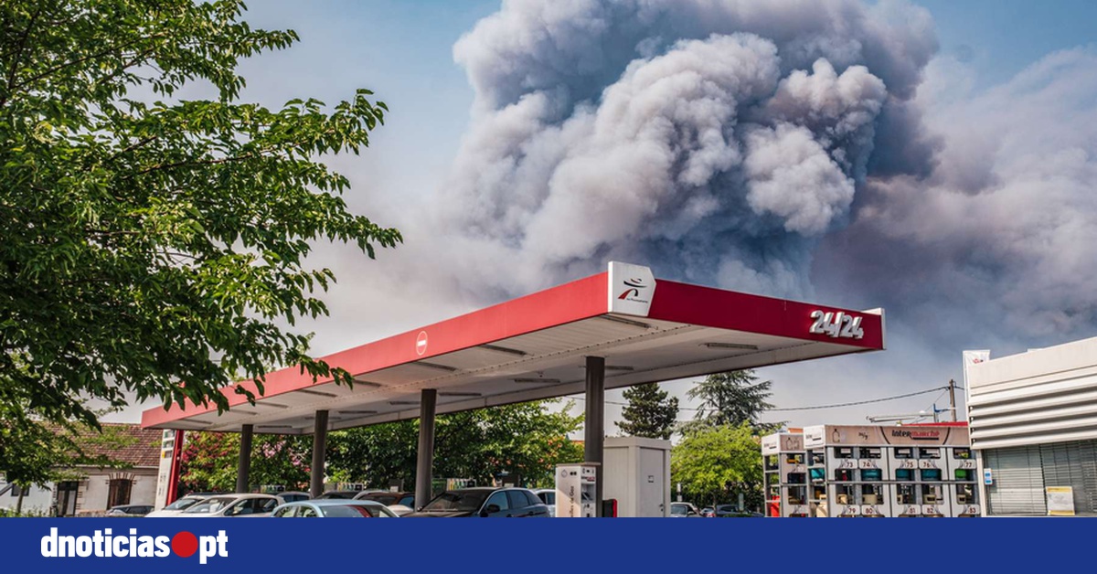 DNOTICIAS.PT