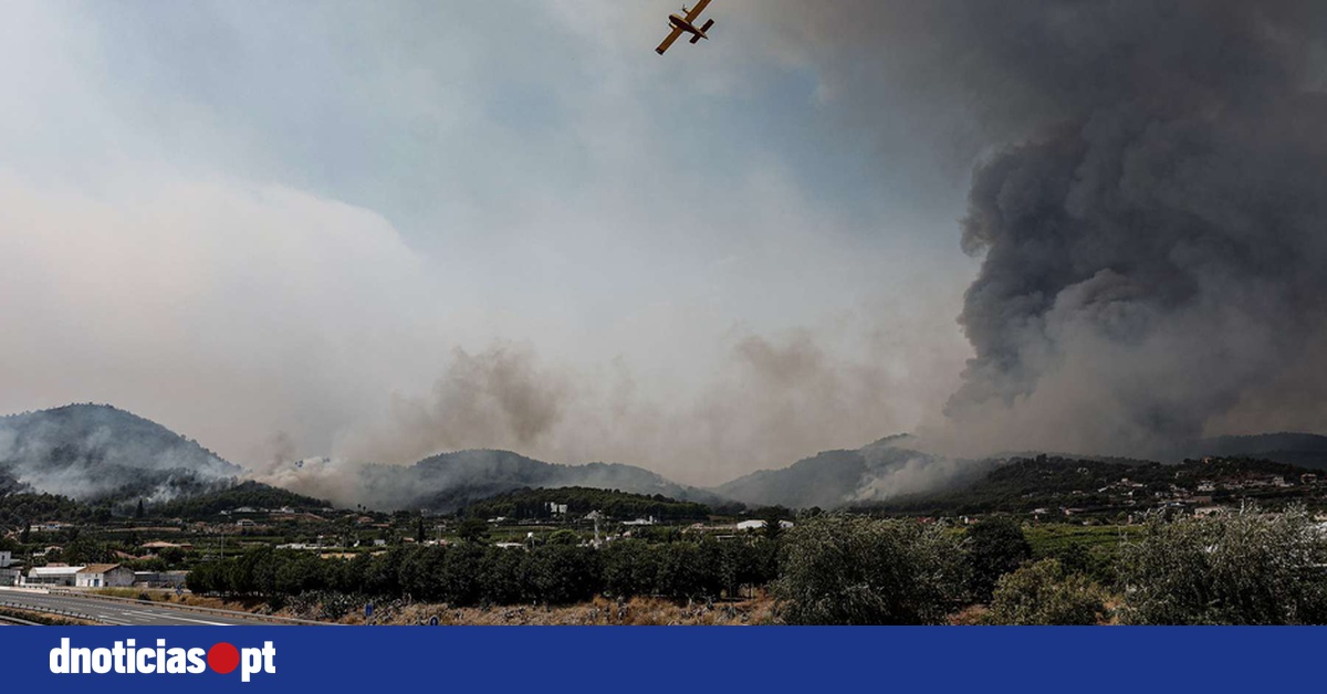 DNOTICIAS.PT