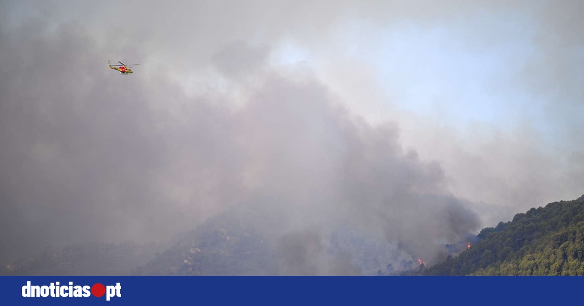 DNOTICIAS.PT