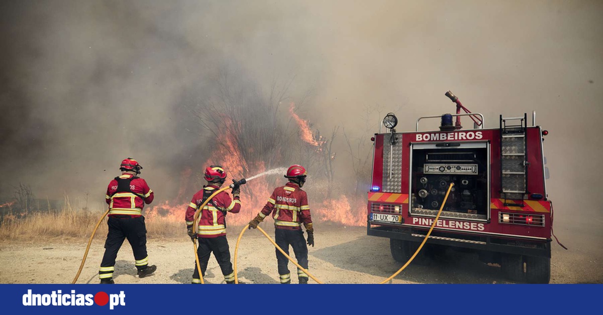 DNOTICIAS.PT