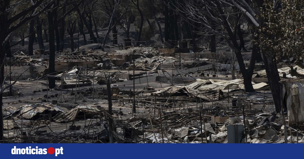 DNOTICIAS.PT