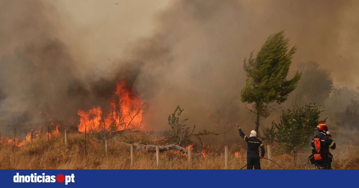 DNOTICIAS.PT