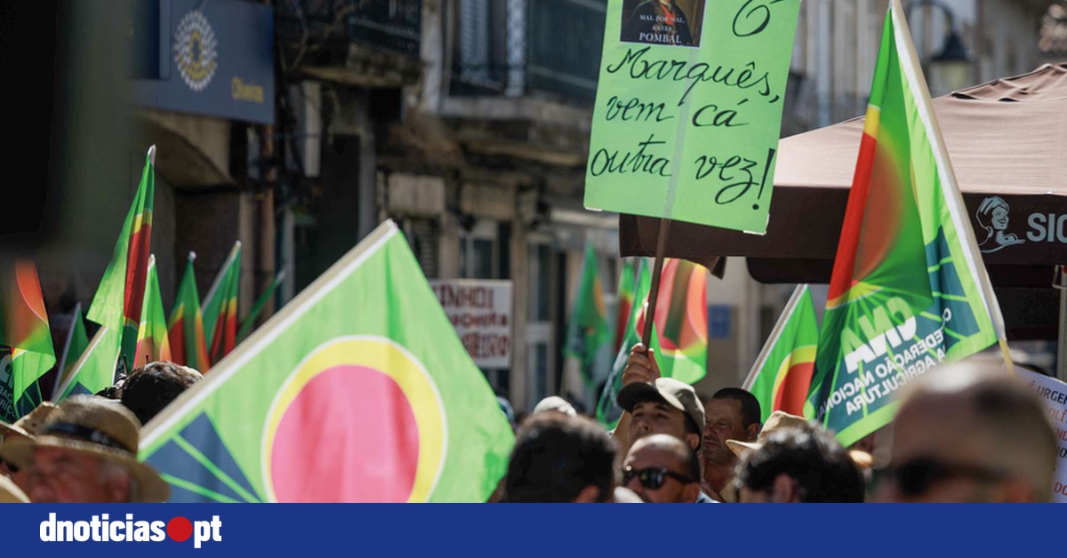 DNOTICIAS.PT