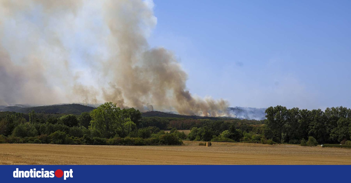 DNOTICIAS.PT