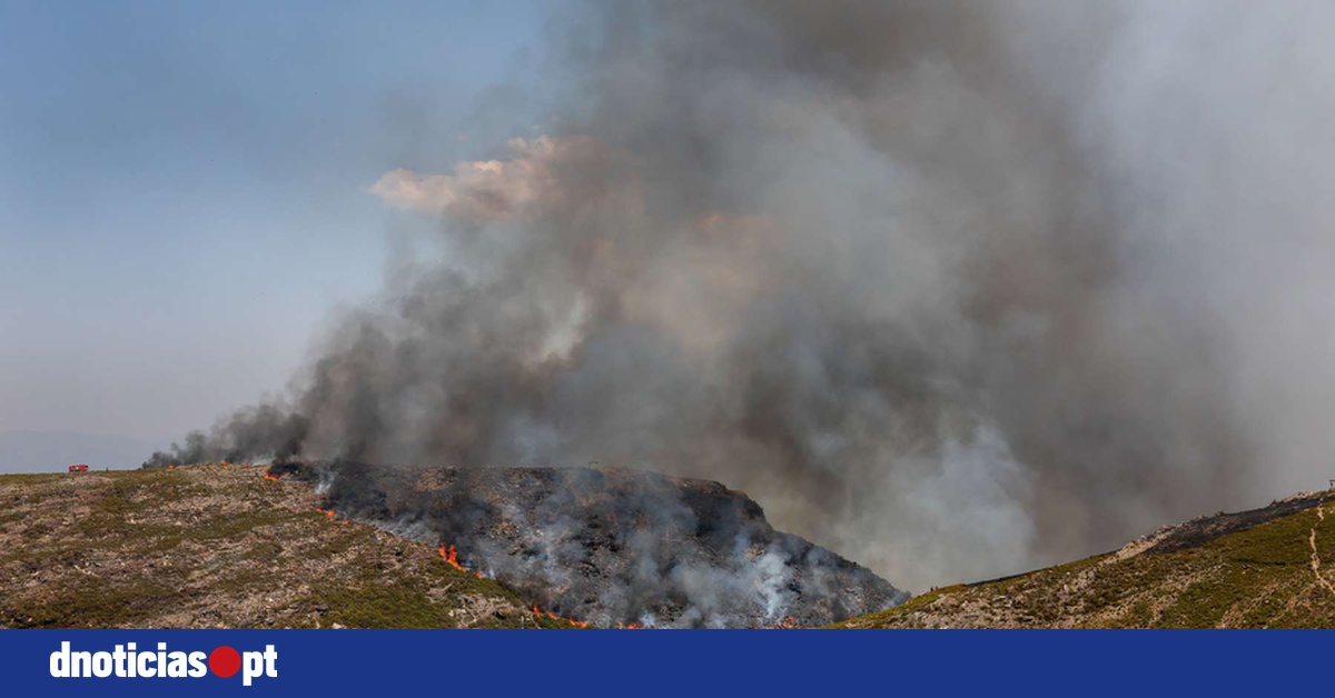 DNOTICIAS.PT