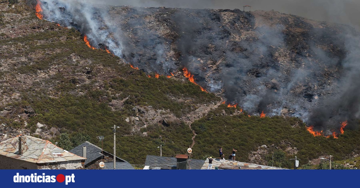 DNOTICIAS.PT