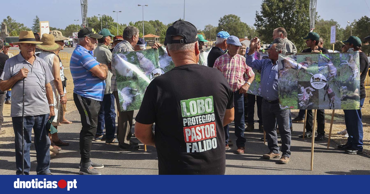 DNOTICIAS.PT