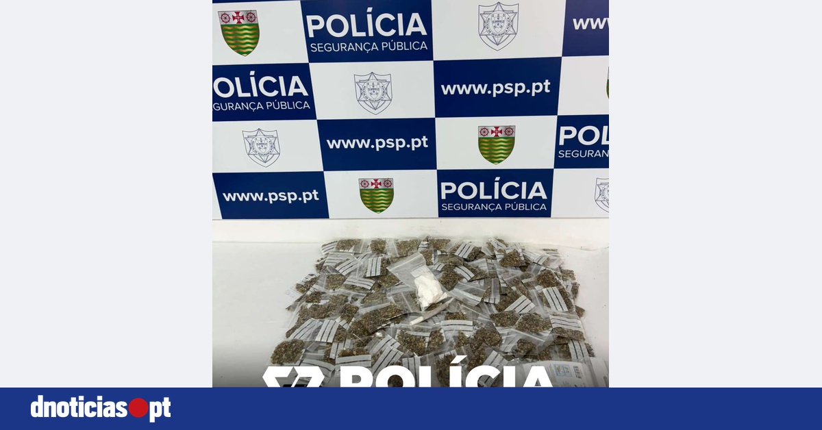 DNOTICIAS.PT