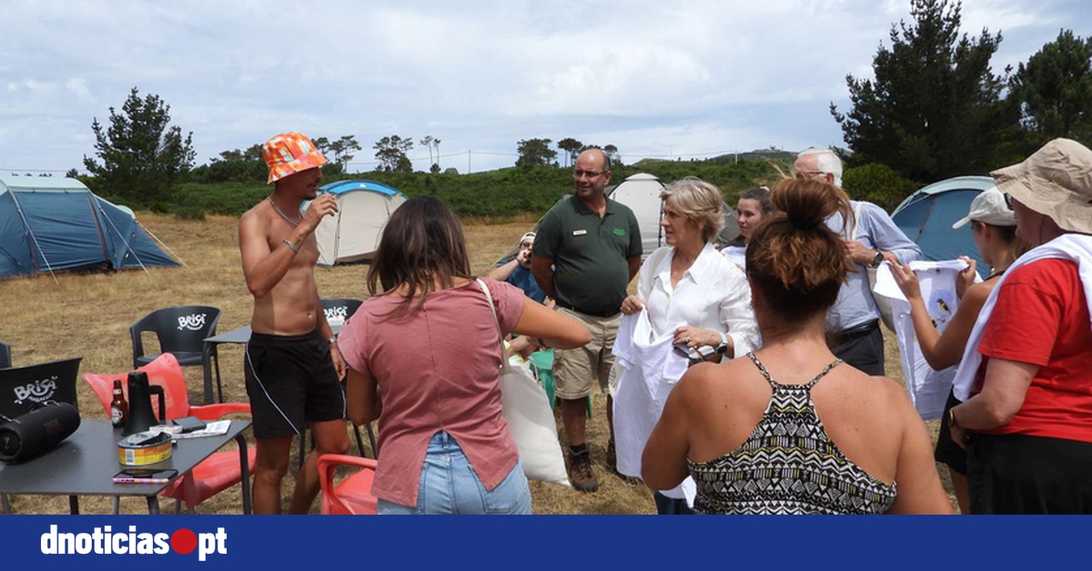 DNOTICIAS.PT