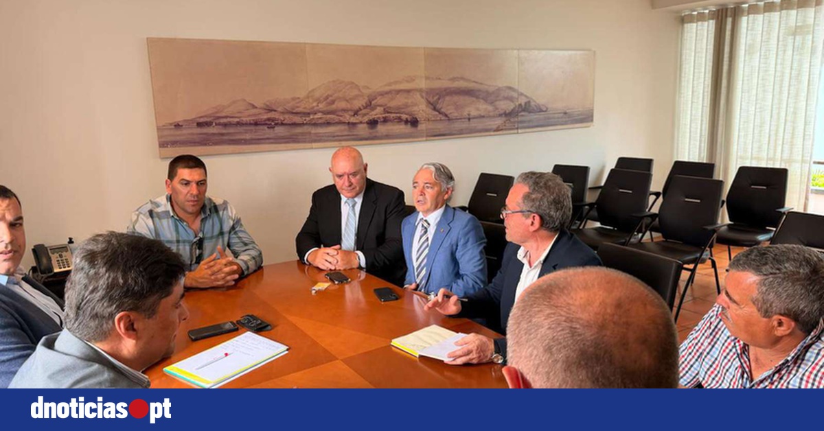 DNOTICIAS.PT