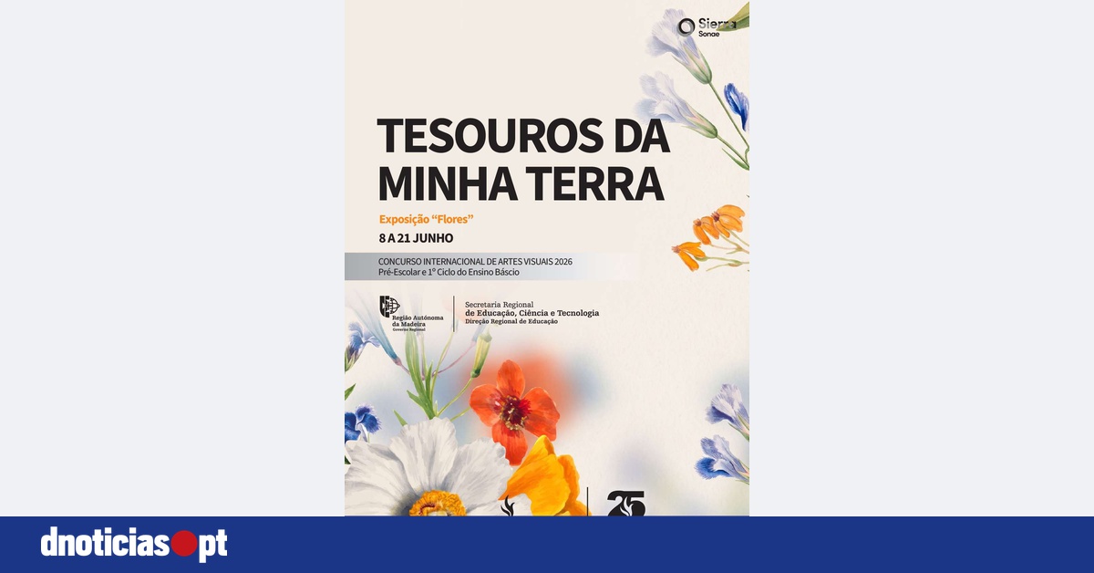 DNOTICIAS.PT