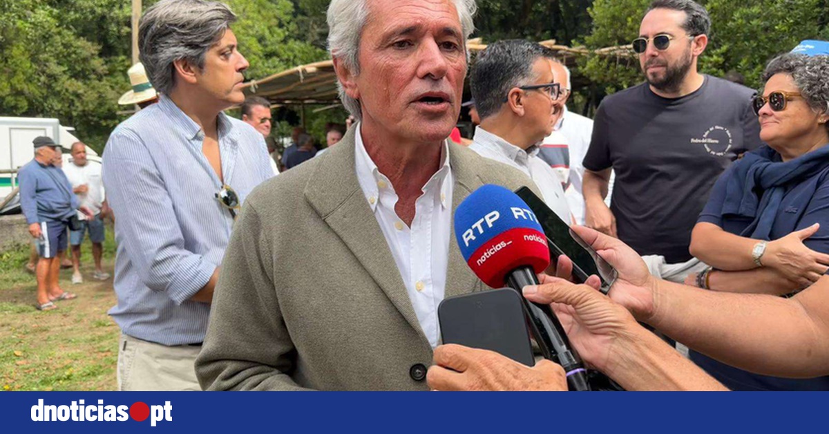 DNOTICIAS.PT