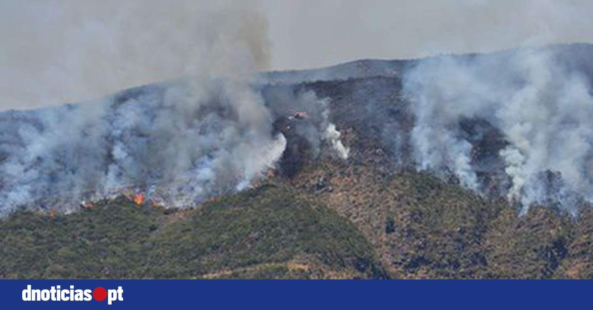 DNOTICIAS.PT