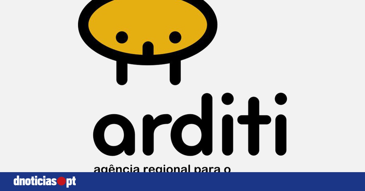 DNOTICIAS.PT