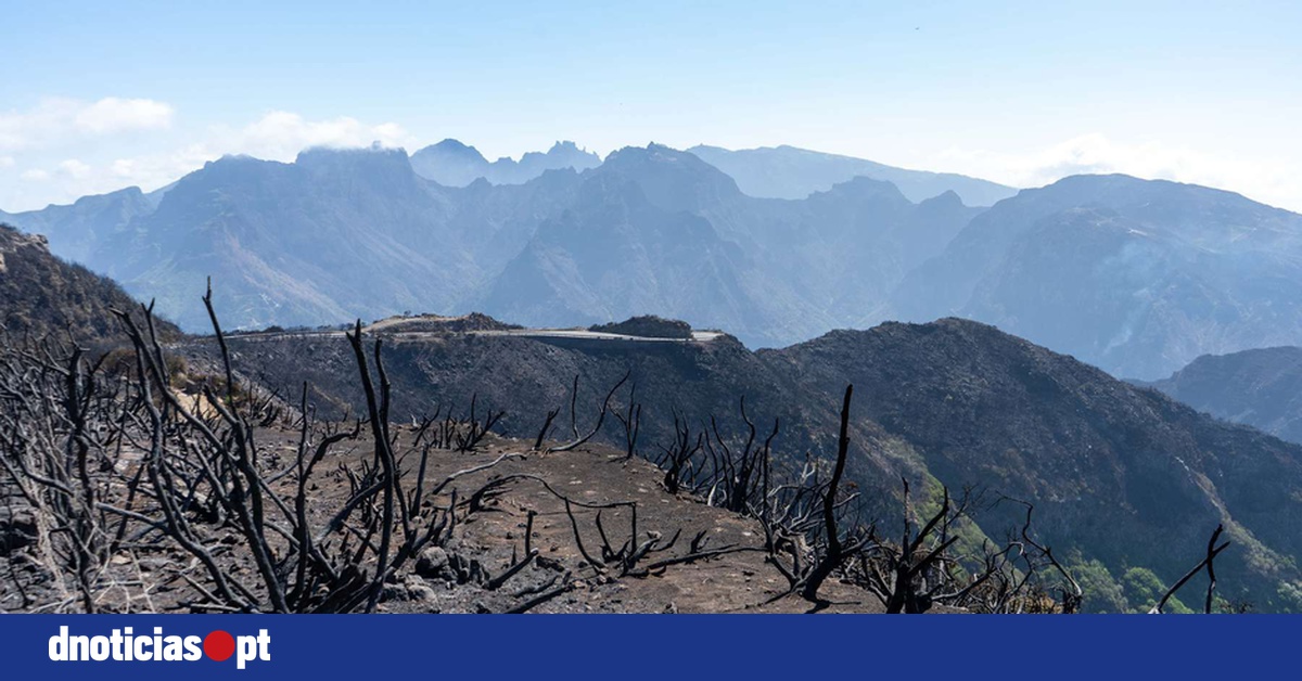 Madeira Wildfire Under Control: Latest Updates and Ongoing Vigilance