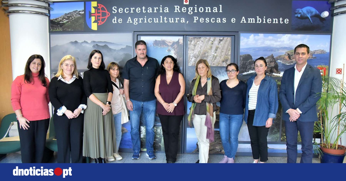 DNOTICIAS.PT