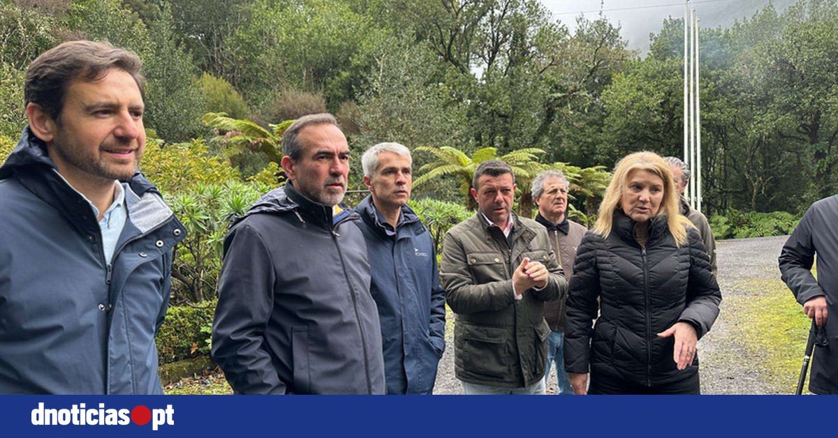 DNOTICIAS.PT