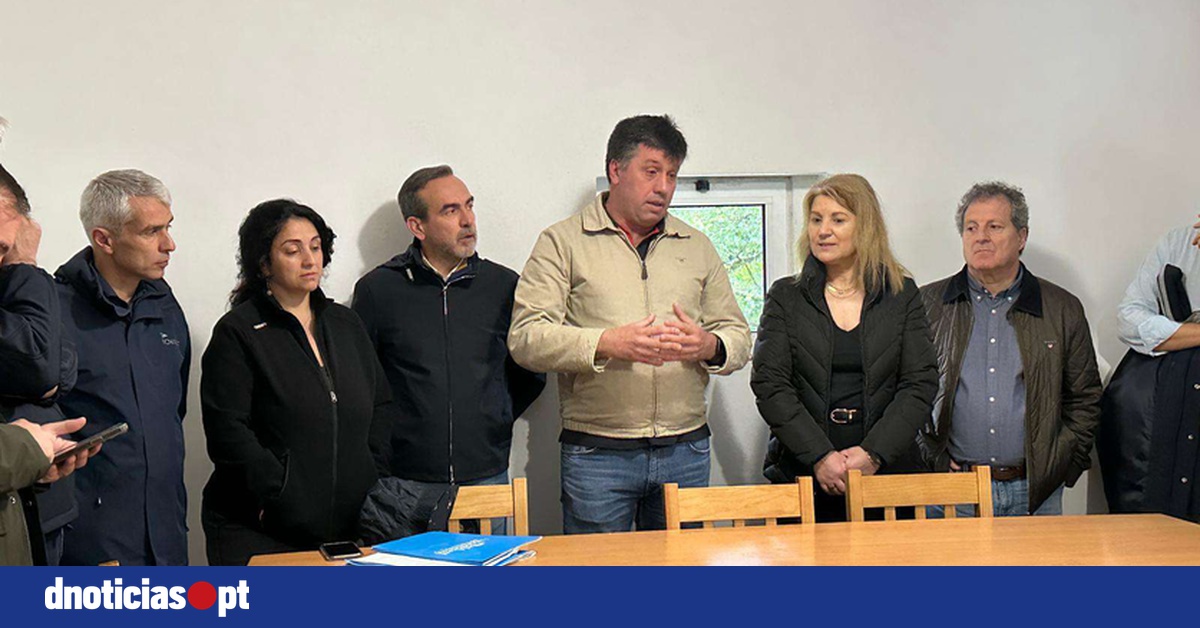 DNOTICIAS.PT