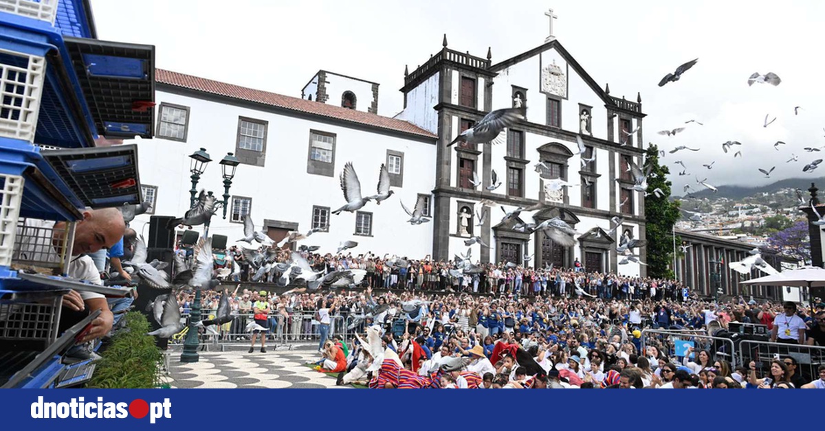 DNOTICIAS.PT