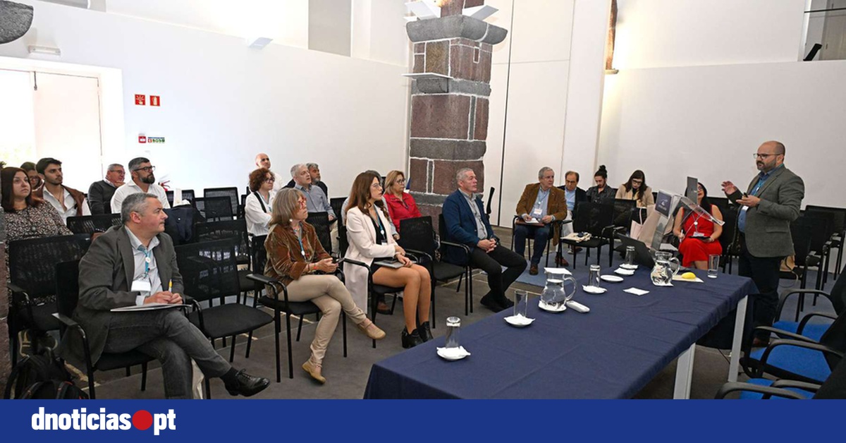 DNOTICIAS.PT