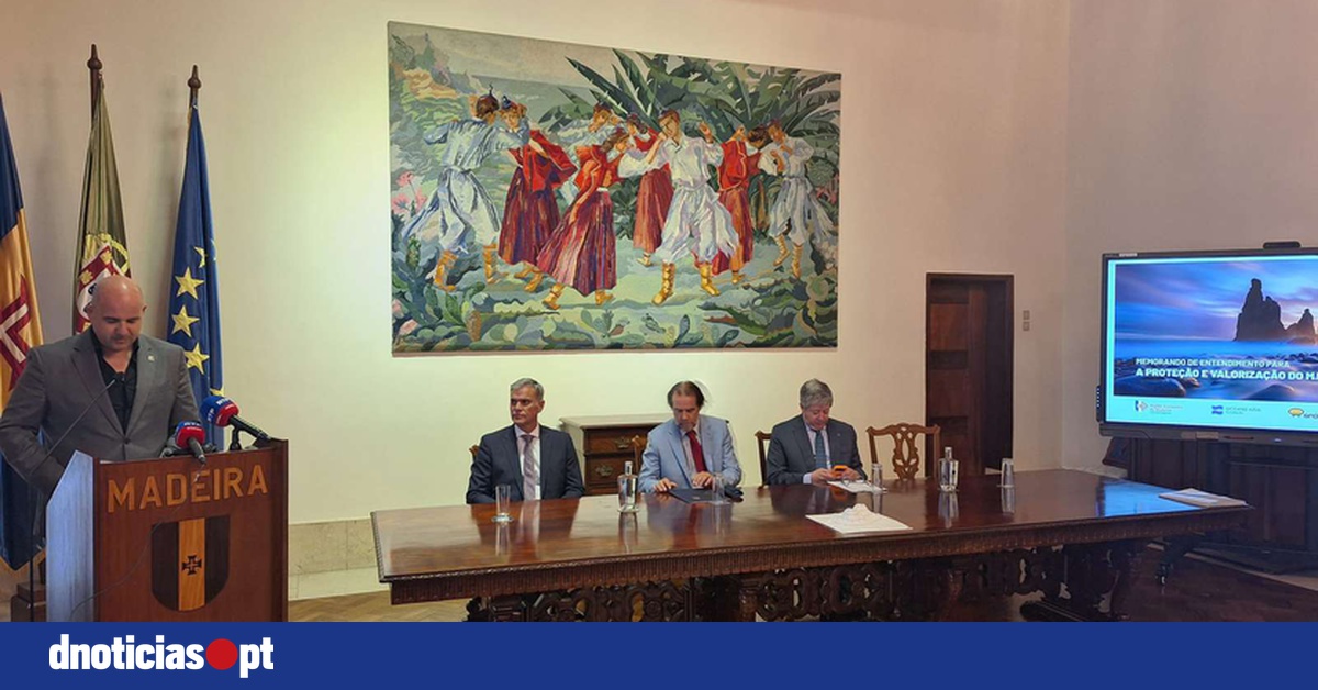 DNOTICIAS.PT