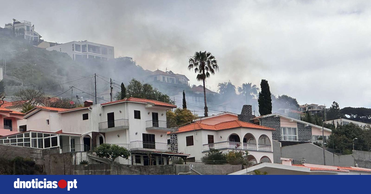 DNOTICIAS.PT
