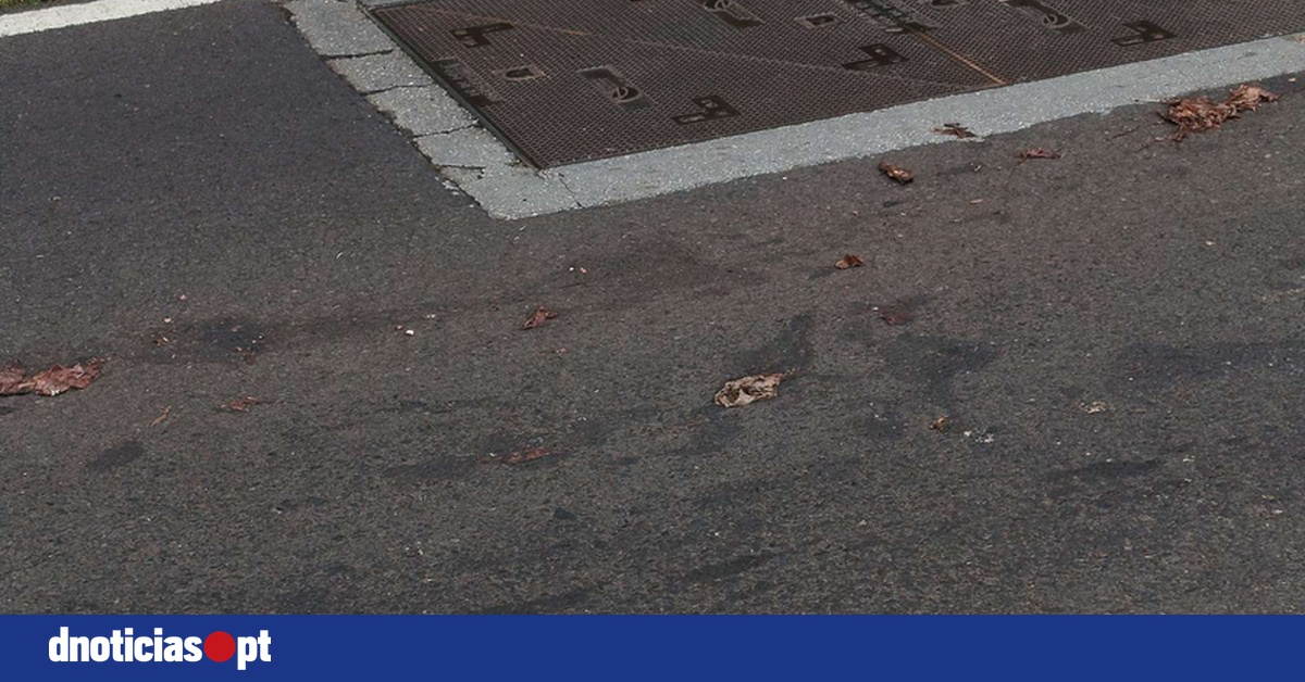 DNOTICIAS.PT