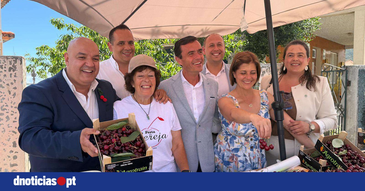 DNOTICIAS.PT