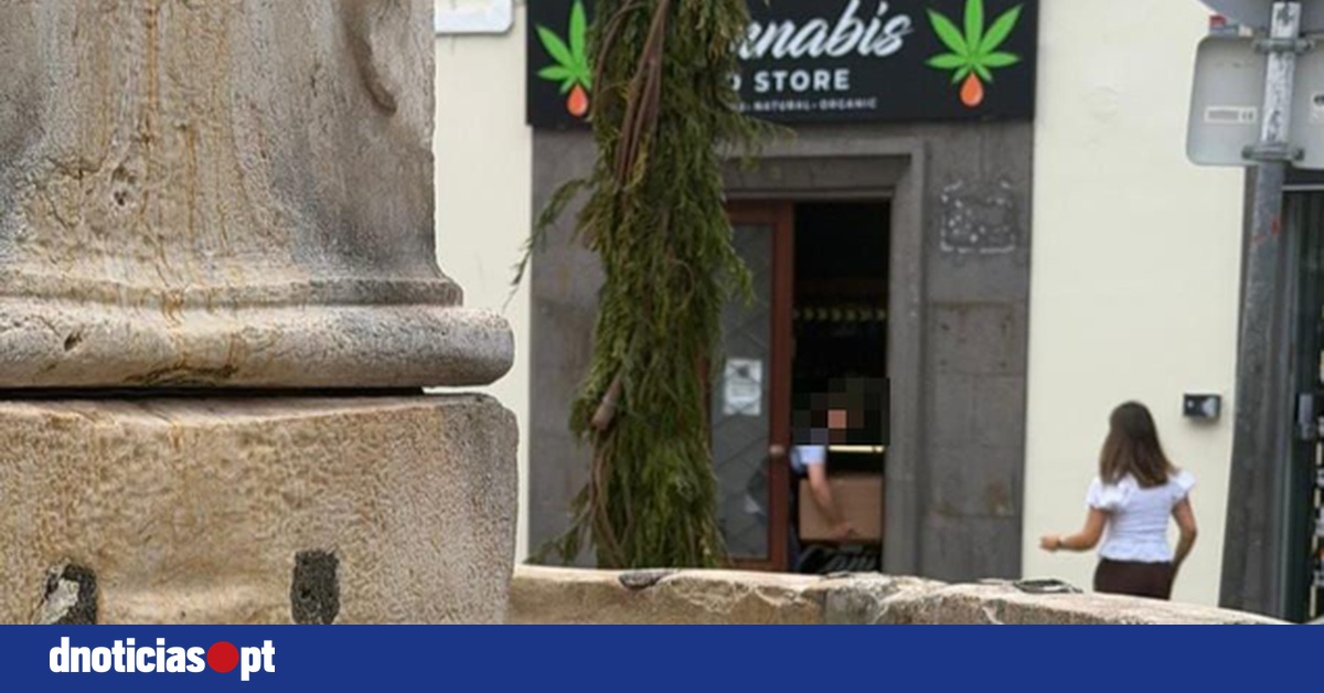 DNOTICIAS.PT