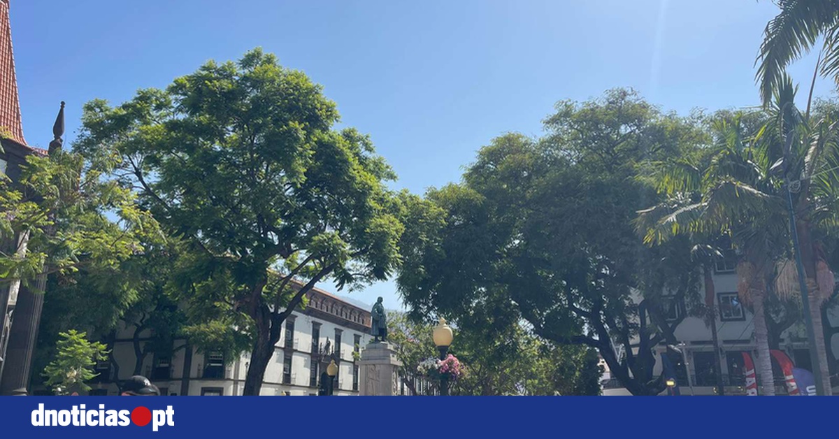 DNOTICIAS.PT