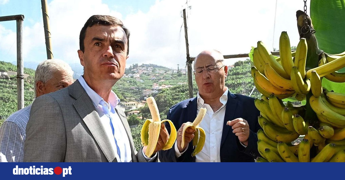 Ministro foi conhecer centro de processamento de banana da Madeira