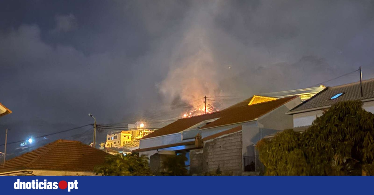 DNOTICIAS.PT