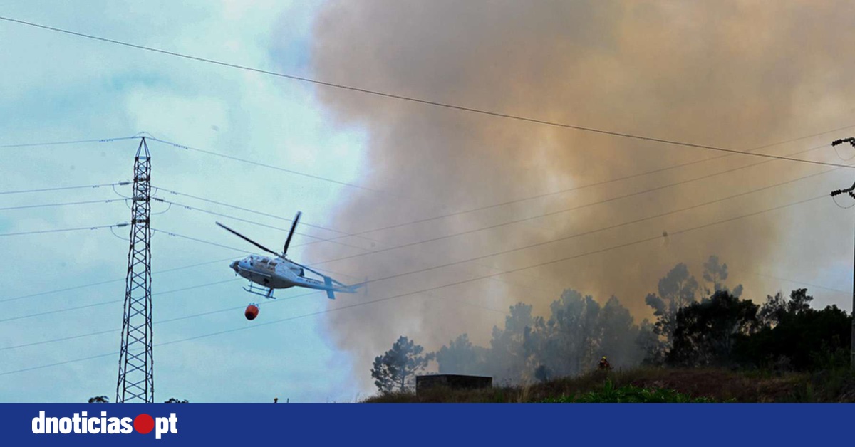 DNOTICIAS.PT