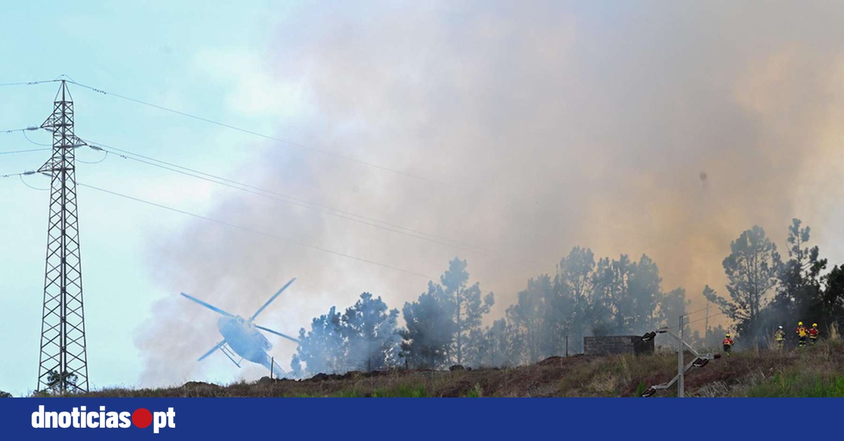DNOTICIAS.PT