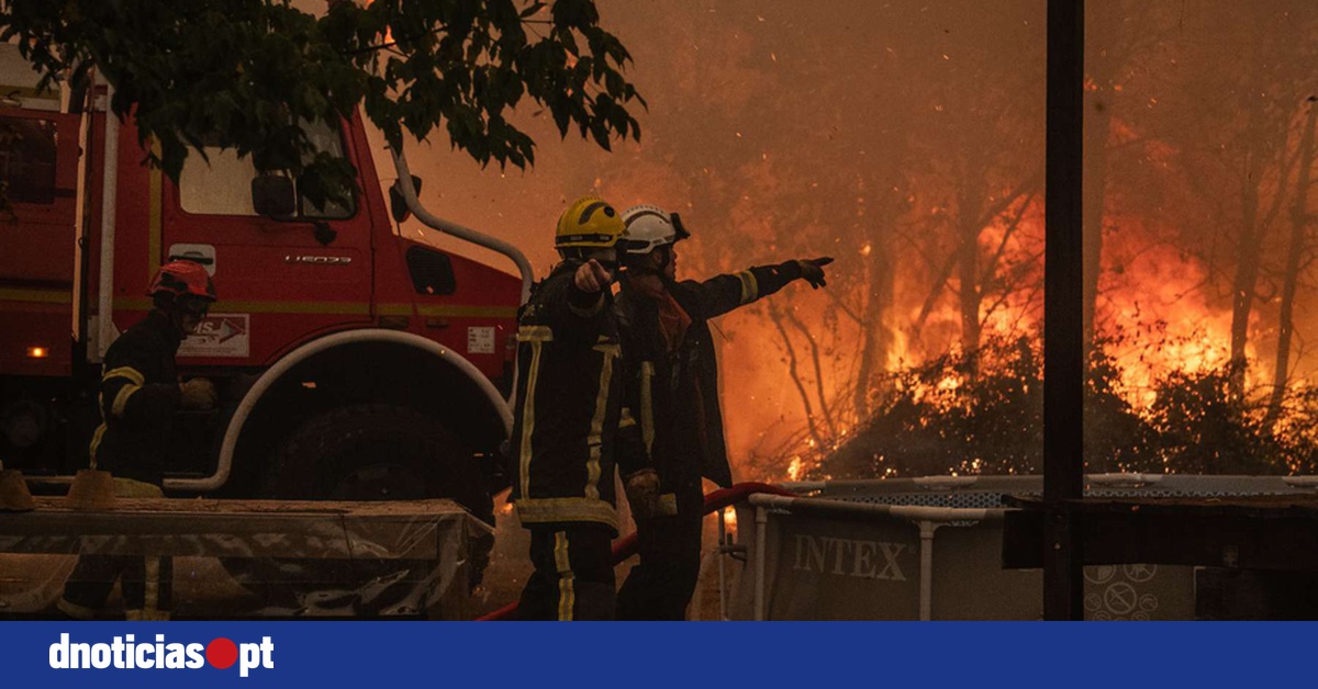 DNOTICIAS.PT