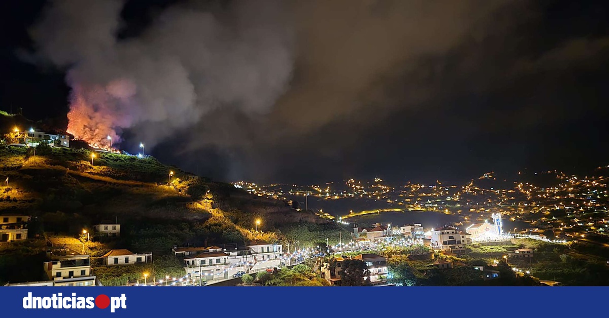 DNOTICIAS.PT